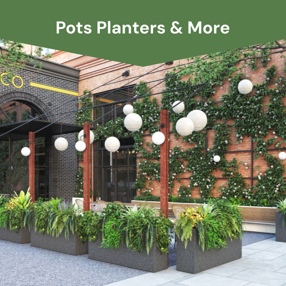 Pots Planters & More