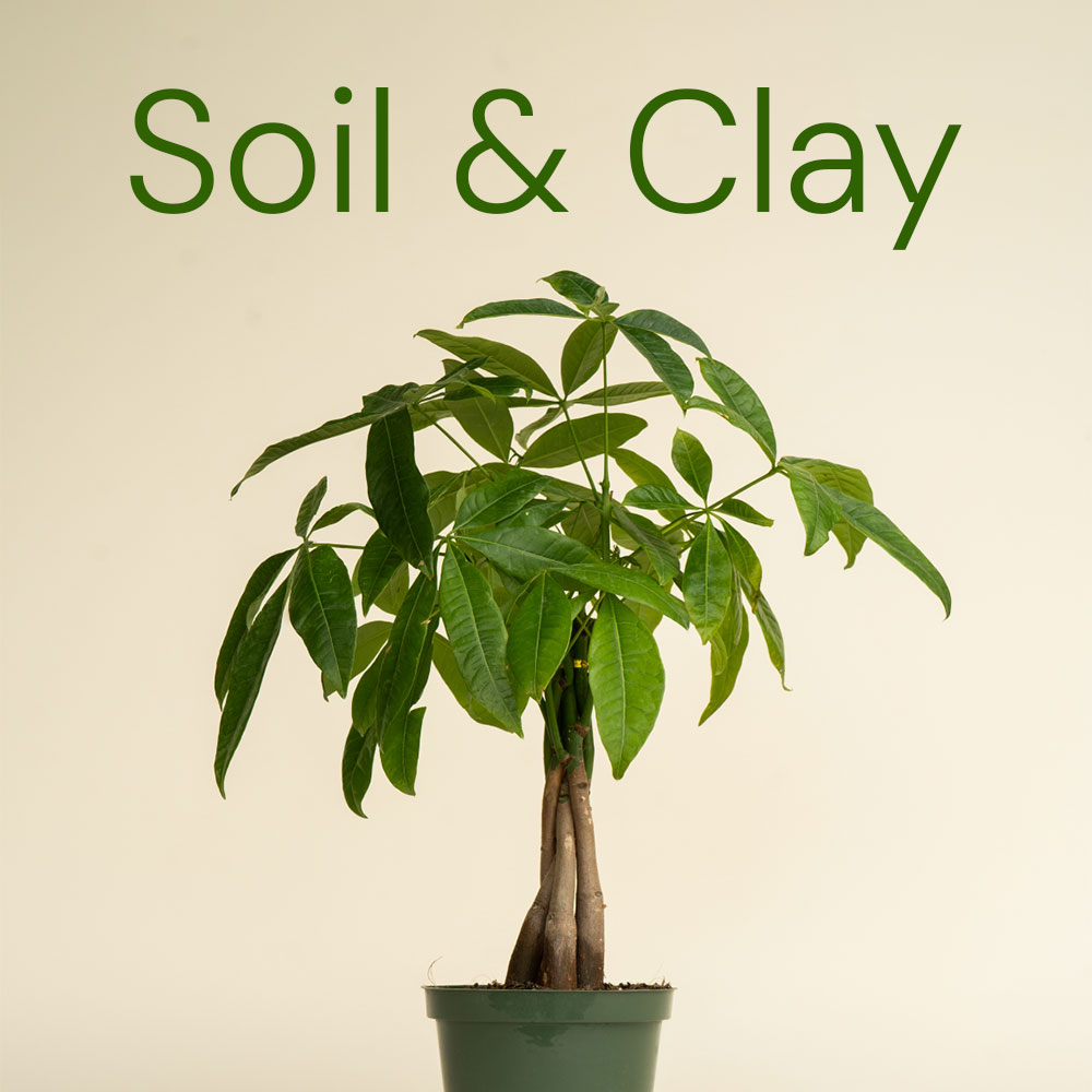 Soil & Clay